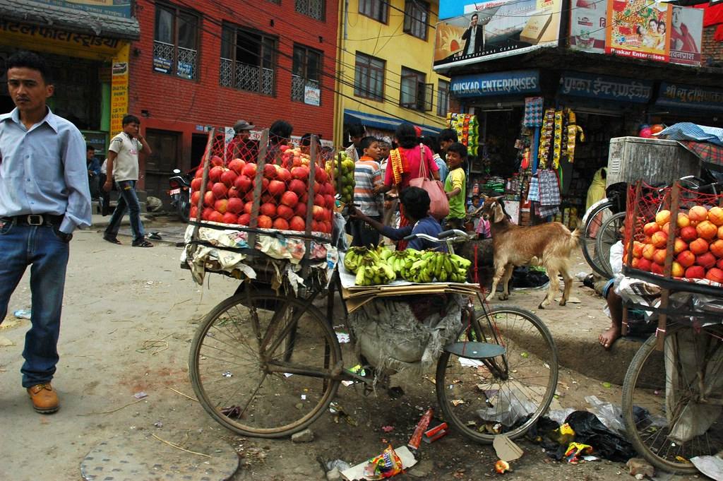 Fruit bike street vendor, apples, bananas, homemade scale, garbage, goat, children, Puskar Enterprises, posters, Kathmandu, Nepal