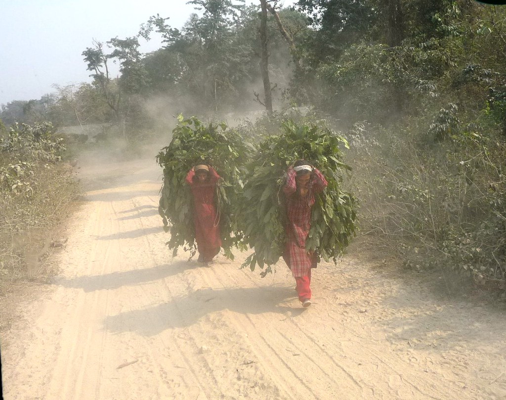 Nepal Village life.. North East of Koshi